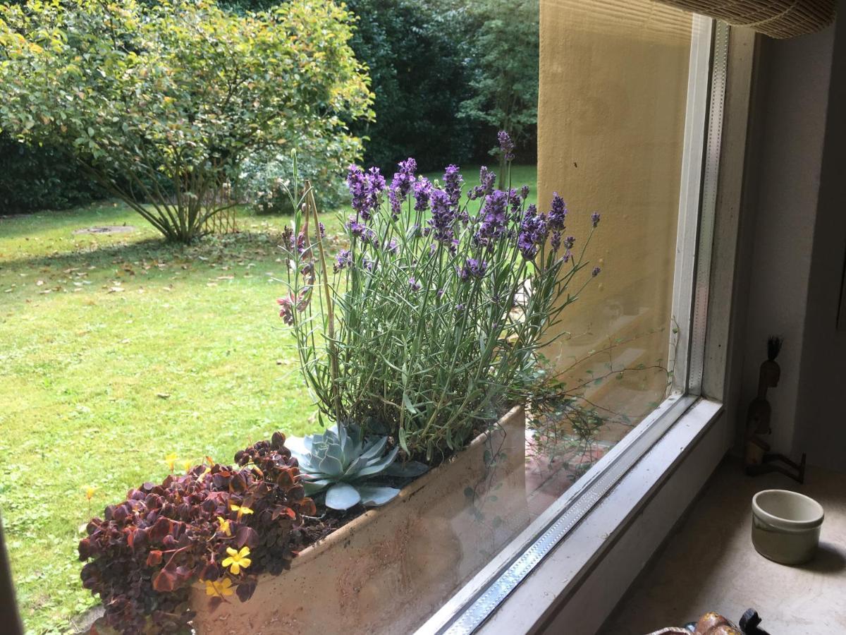 House Apricot Villa Krefeld Eksteriør bilde